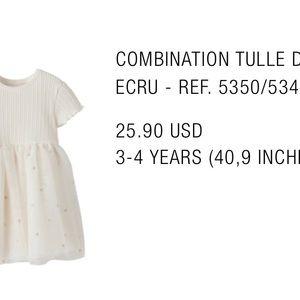 Zara combination tule 3t dress with daisies embroidery